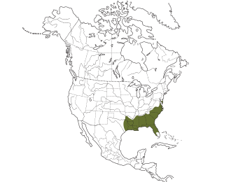 Brown-headed Nuthatch Range