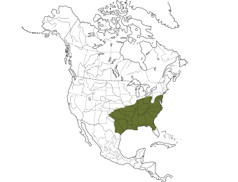 Carolina Chickadee Range