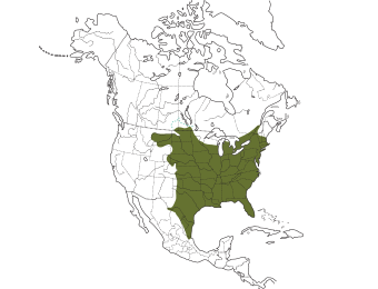 Eastern Screech-Owl Range