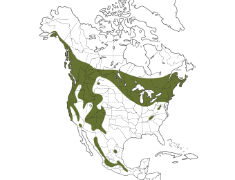 Northern Saw-whet Owl Range