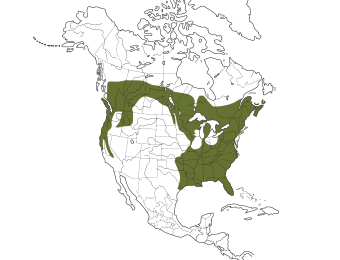 Pileated Woodpecker Range