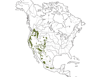 Pygmy Nuthatch Range