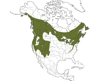 Red-breasted Nuthatch Range