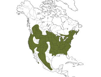 White-breasted Nuthatch Range