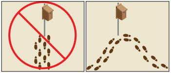 Don't Leave a Dead-end Trail