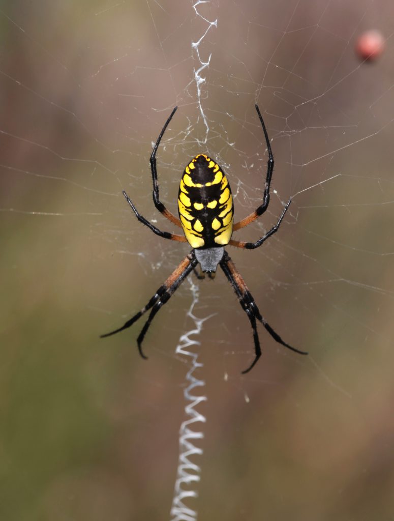 Warning! No Fly Zone.