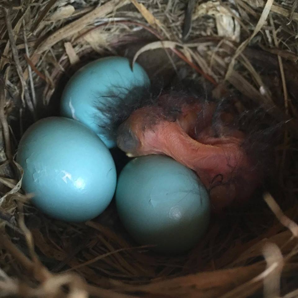 A Transformative Experience