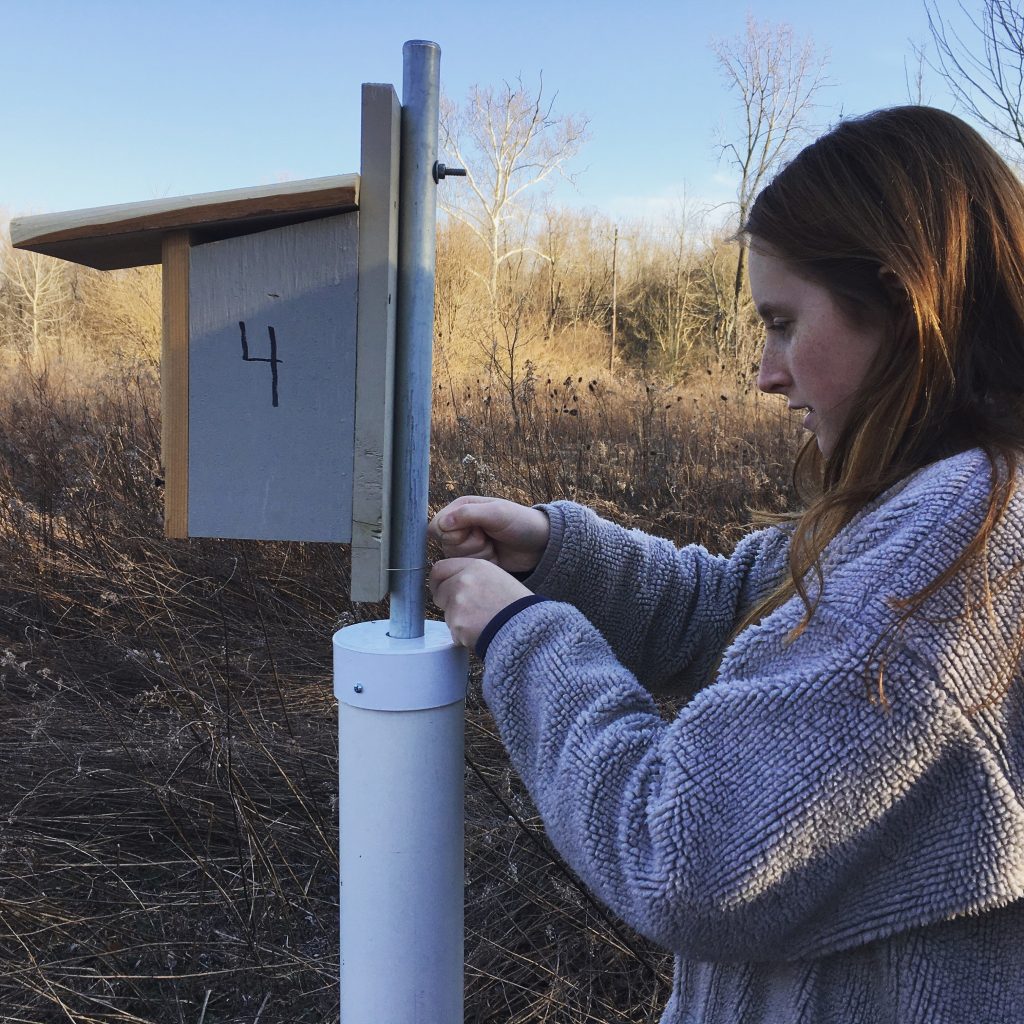 One Chilly Day In March