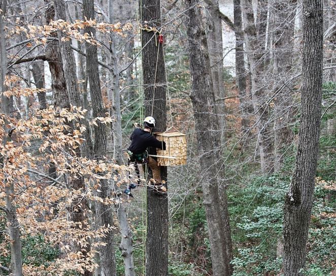 Hanging With The Birds