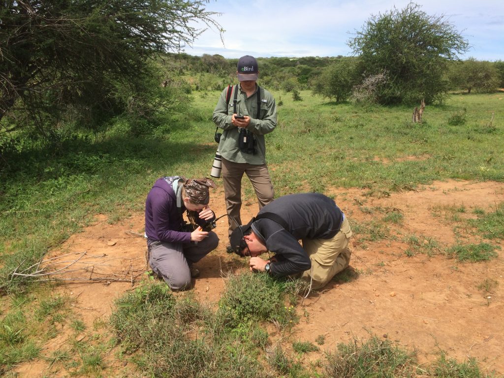 Students Check An Underground Nest