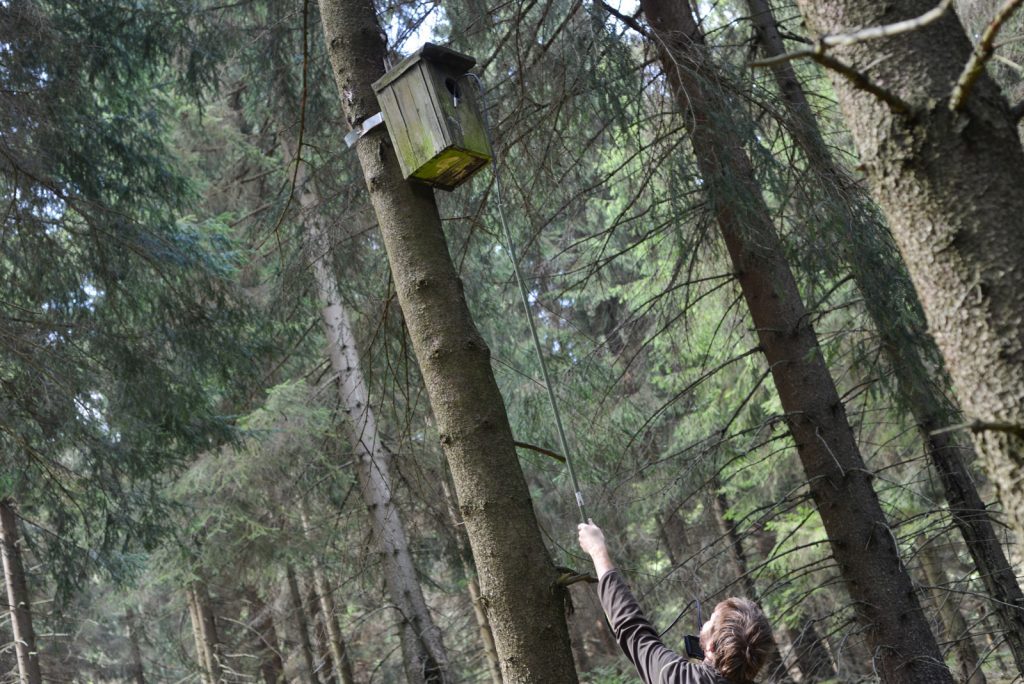 How It Works (click to enlarge)