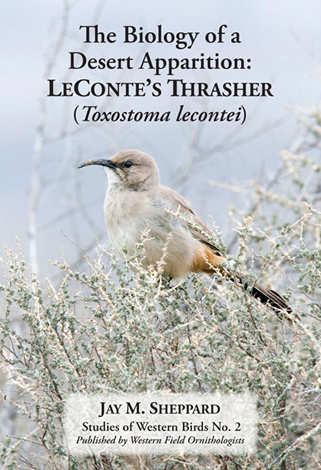 La Biología de una Aparición en el Desierto: Cuicacoche Pálido (Toxostoma lecontei)