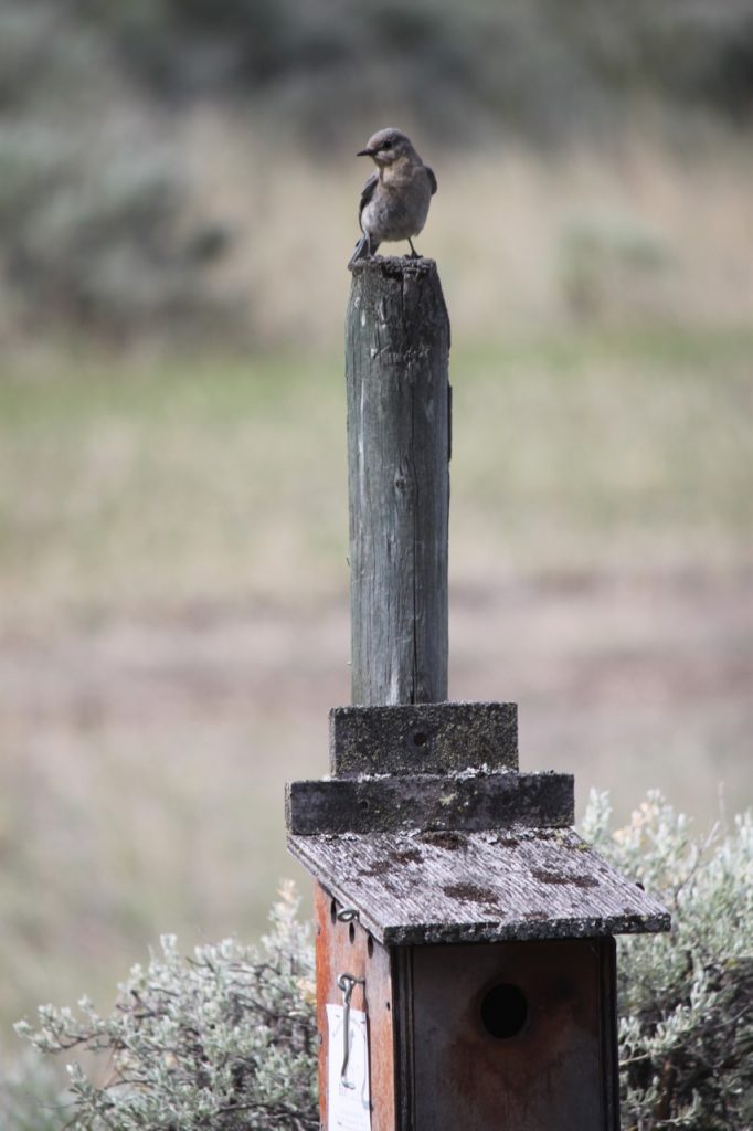 House Hunters: British Columbia