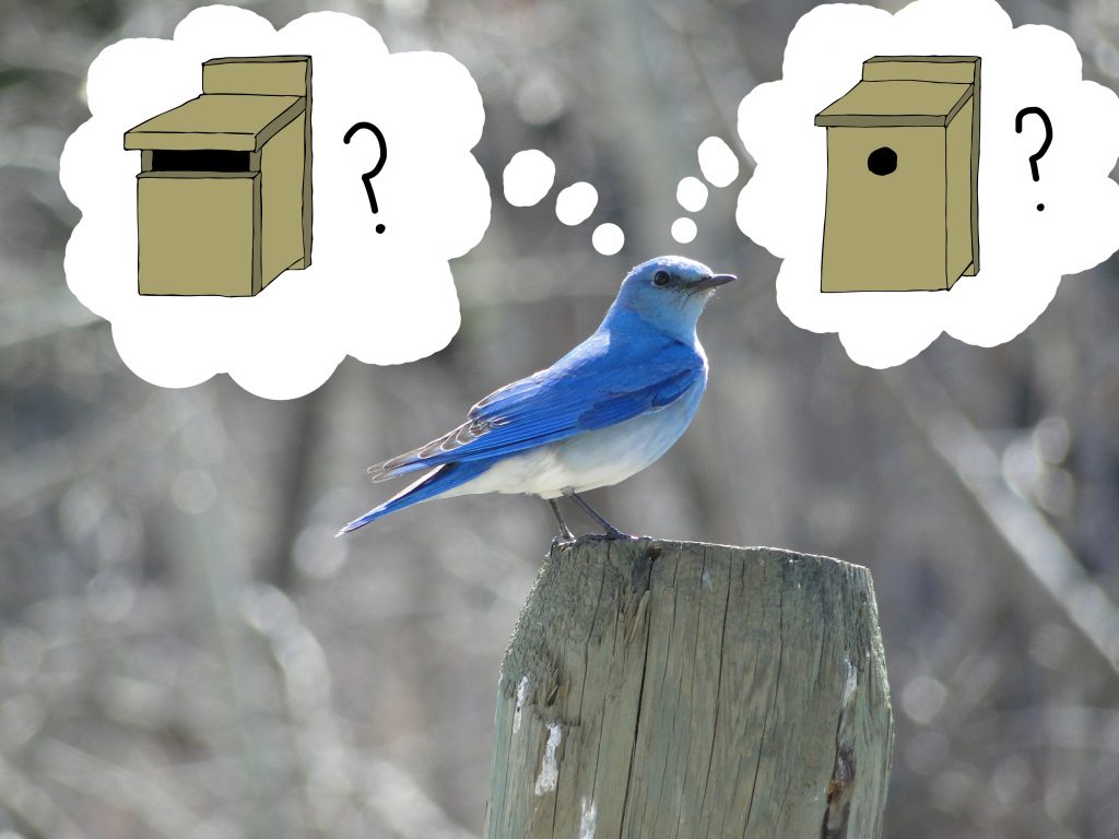 Which one is right for me?