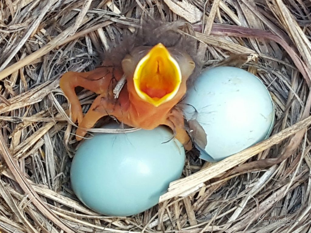 Timing Is Everything