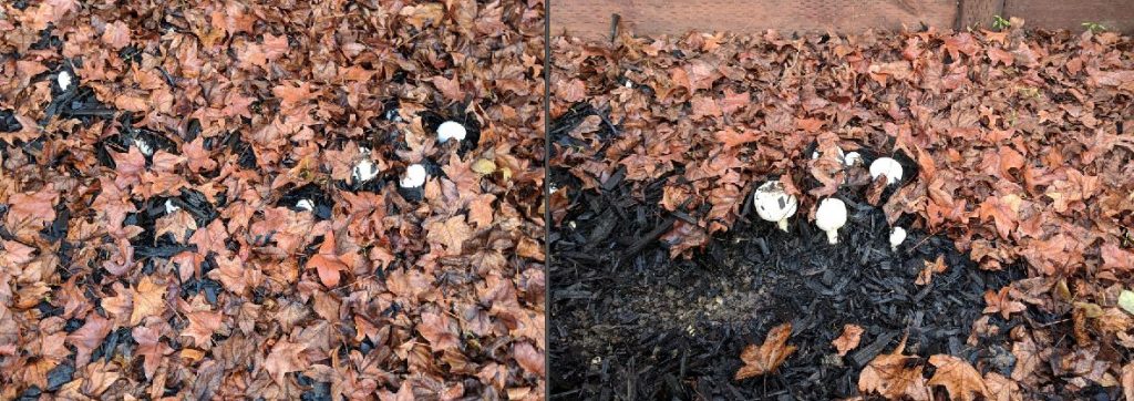 On Closer Inspection