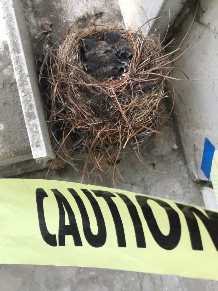 Life In The Stairwell