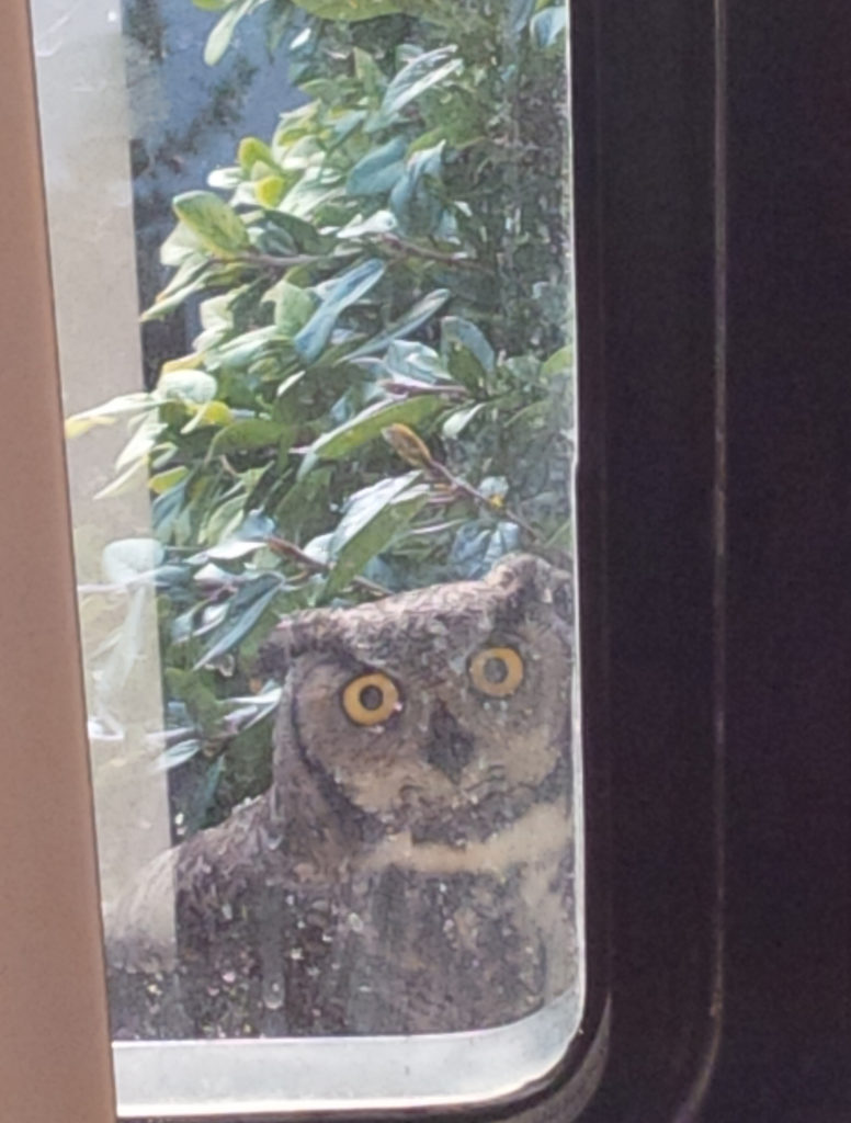 Who's Monitoring Whom?