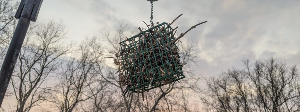 twigs, sticks, and dried grasses in a suet cage, hanging from a feeder pole