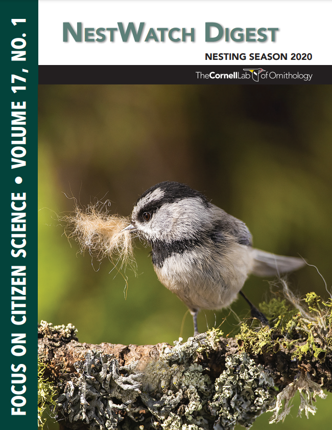 Front page of the NestWatch Digest, featuring a Mountain Chickadee