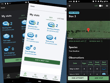 three screenshots of the app, highlighting the new update