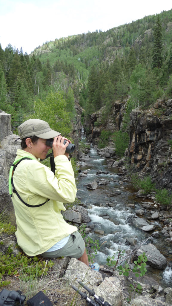 Another Day In Paradise