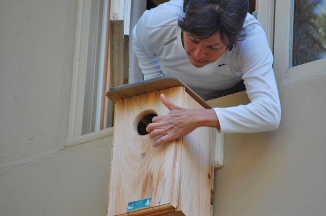 Working With, Not Against, Wildlife