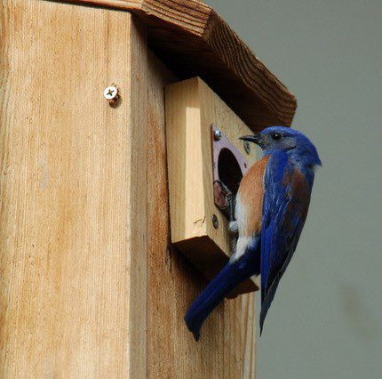 Welcome to the Neighborhood