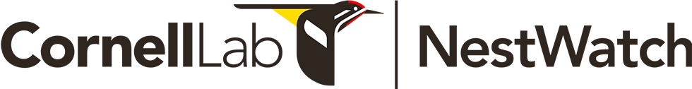NestWatch logo