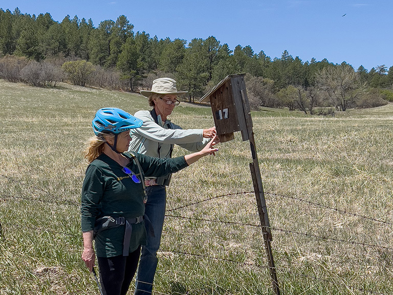 two monitors checking a nest box