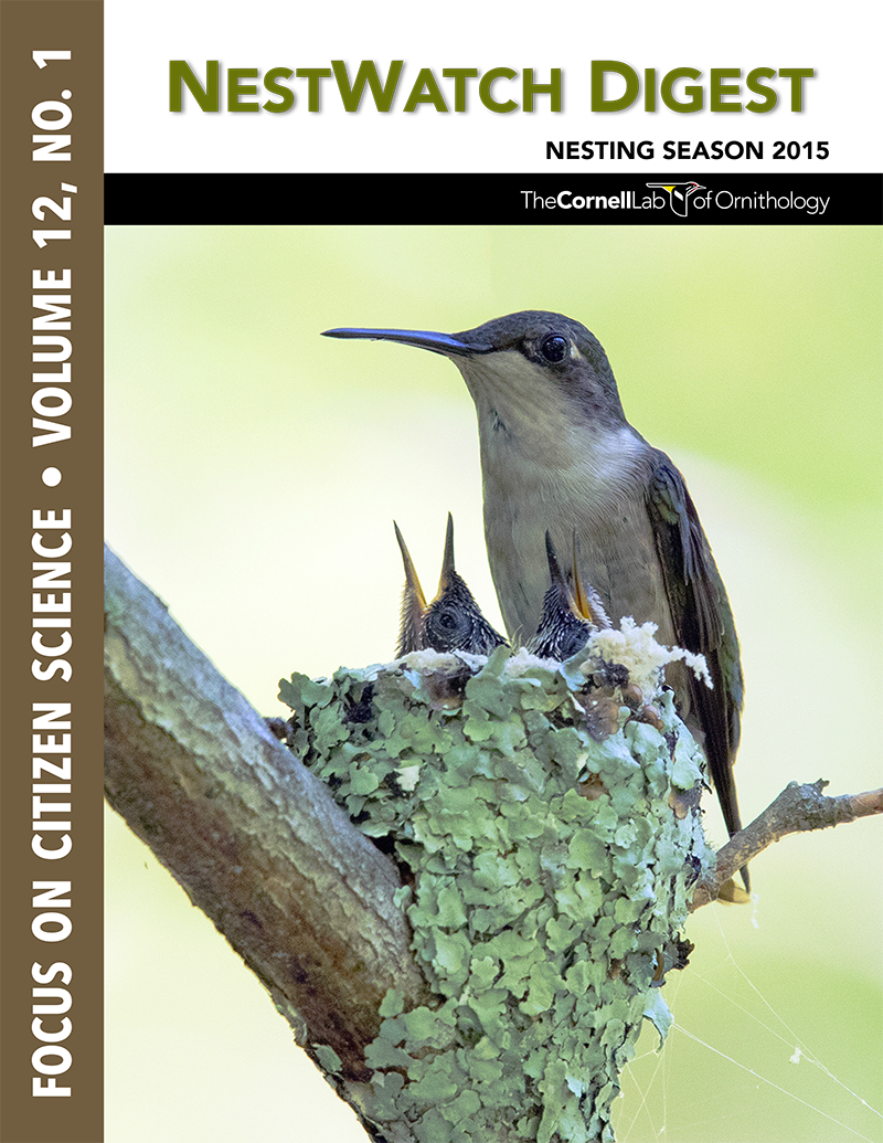 cover of the NestWatch Digest or the 2015 breeding season,featuring photo of a hummingbird nest