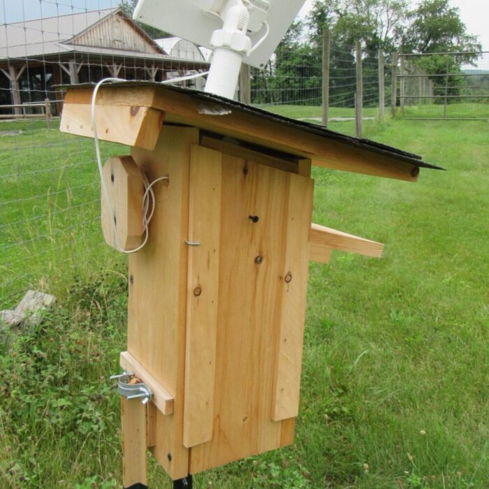 Ringcam2_IanStewart-scaled-1000x1000 Back view of a nest box with a solar-powered camera mounted on top