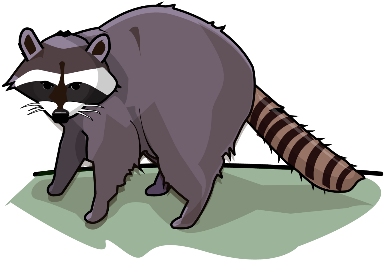 illustration of a raccoon