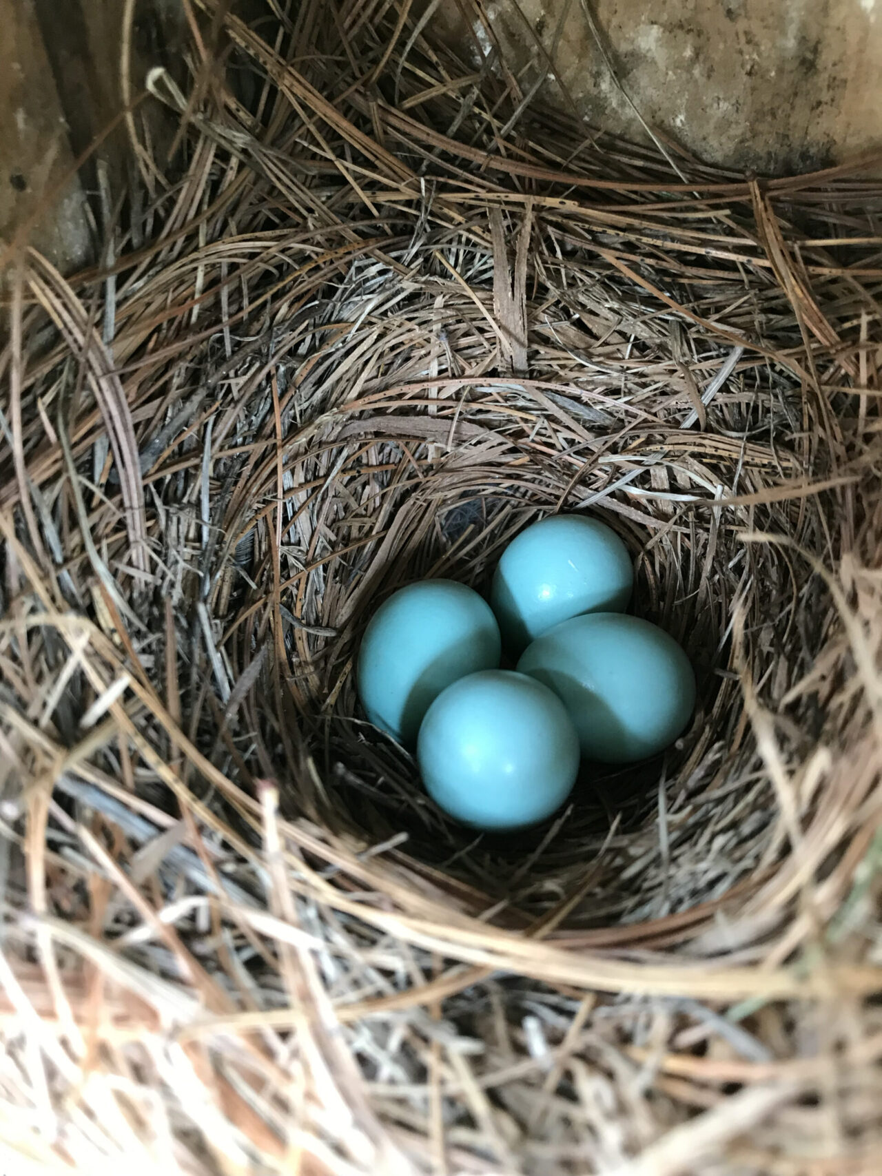 Gaining Life Experience