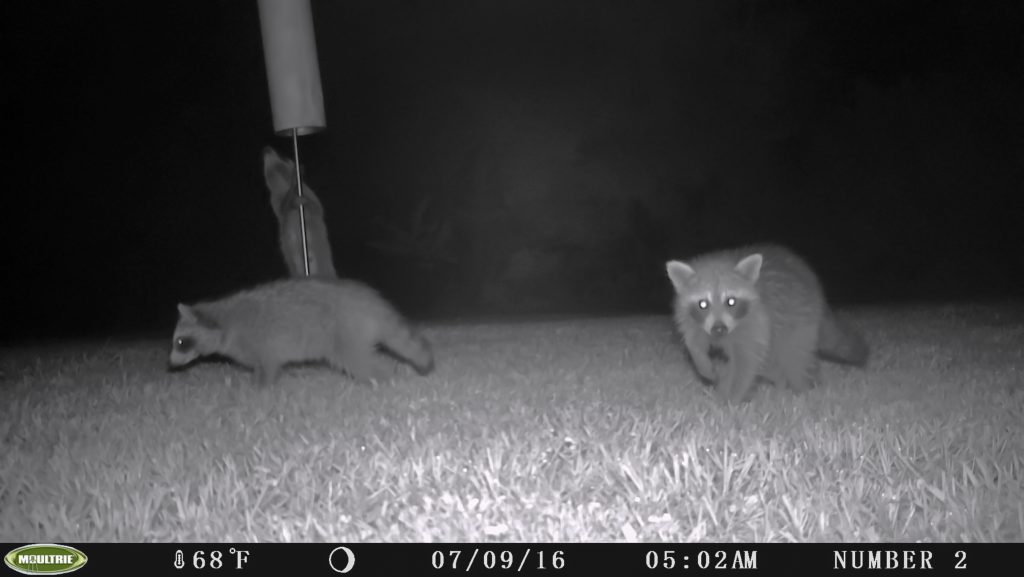 Stovepipe Baffle to the Rescue